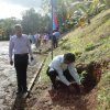 2018 රුක් රෝපන සතිය